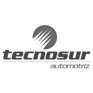 tecnosur-logo